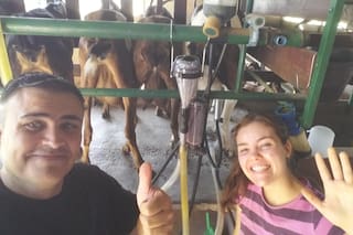 Tenía un hobby con las cabras y cuenta cómo lo hizo un sorprendente negocio