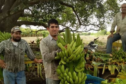 El productor Mario Gómez junto a sus hijos Fabio y Mario Luis en el fundo