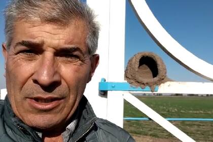 El productor Walter Malfatto. Atrás, el nido a medio terminar