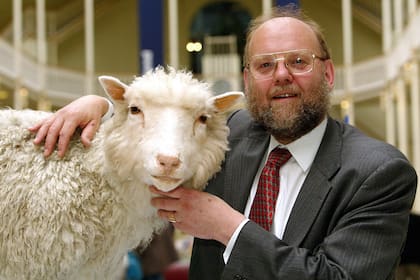 El profesor Ian Wilmut, del Instituto Roslin,
con "Dolly", la primera oveja clonada del mundo