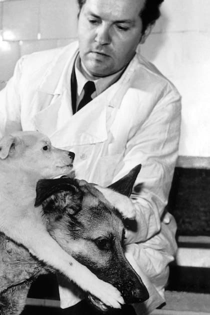 El profesor ruso Vladimir Petrovich Demikhov posa junto a sus perros trasplantados: el ovejero alemán Brodyaga (vagabundo) y uno más pequeño llamado Shavka