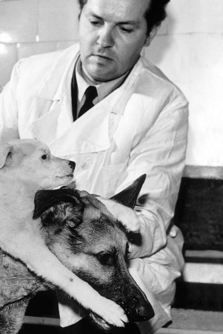 El profesor ruso Vladimir Petrovich Demikhov posa junto a sus perros trasplantados: el ovejero alemán Brodyaga (vagabundo) y uno más pequeño llamado Shavka