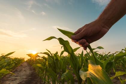 El programa "Ag-to-Urban" permitirá a agricultores con derechos históricos de riego intercambiar su bombeo de agua por créditos para proyectos habitacionales