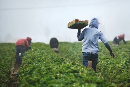 El programa de ayudas financieras pretende beneficiar a personas que no pueden reclamar fondos federales