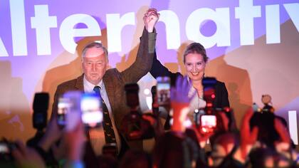 El programa de la AfD, el partido de ultraderecha que llegó al Parlamento alemán