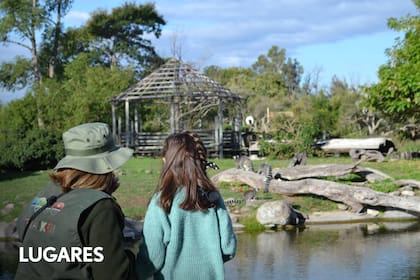 El programa “Guardianes de la Naturaleza” de Temaikén sumó este invierno 12 nuevas actividades, que buscan convertir a los niños en verdaderos expertos de la naturaleza.