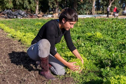 El programa ProHuerta del INTA capacita a familias de todo el país