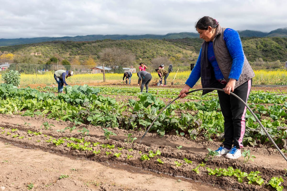 El programa ProHuerta del INTA capacitaba a familias de todo el país y quedó fuera de la agenda del Gobierno