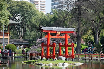 El Programa se realiza durante dos horas una vez a la semana en el Jardín Japonés