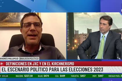 El pronóstico de Andrés Malamud sobre las elecciones: “Va a haber una abstención de la participación electoral”