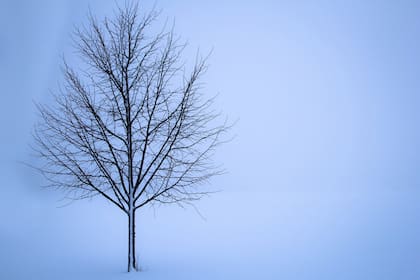 El pronóstico del tiempo para Bariloche para el 17 de septiembre. Fuente: pixabay