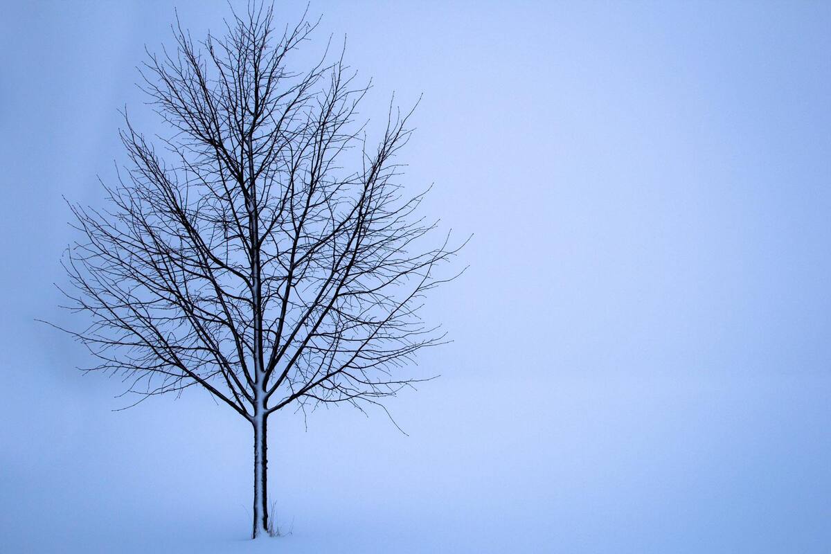 El pronóstico del tiempo para Chapelco para el viernes 2 de octubre. Fuente: pixabay