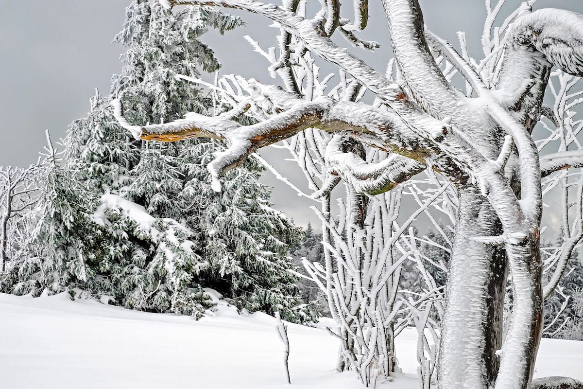 El pronóstico del tiempo para ciudad de Mendoza para el 16 de junio.