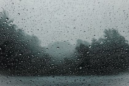 El pronóstico del tiempo para La Plata para el 25 de febrero.