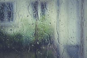 El pronóstico del tiempo para Miramar para el 1 de abril