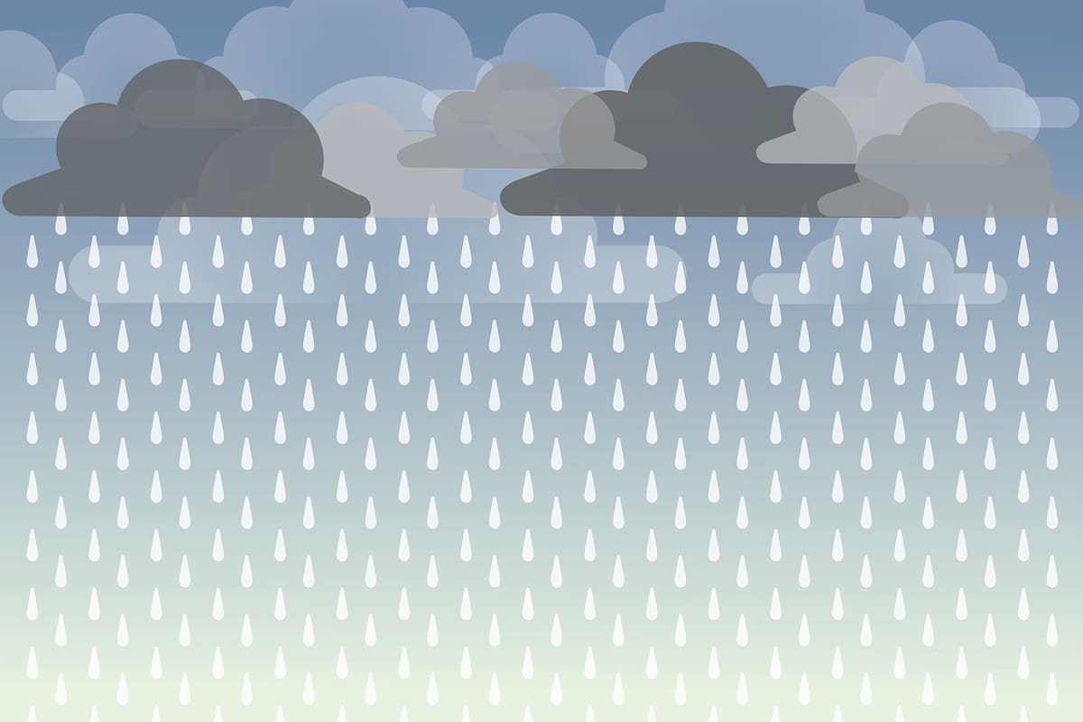 El pronóstico del tiempo para Paraná para el 4 de agosto