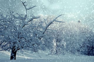 Extienden tres días las vacaciones de invierno en una provincia patagónica