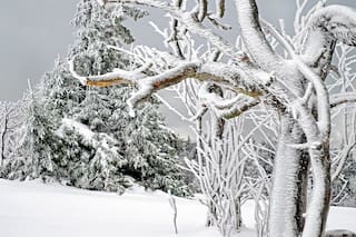 Clima en San Carlos de Bariloche hoy: cuál es el pronóstico del tiempo para el 12 de agosto de 2026