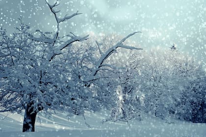 El pronóstico del tiempo para Ushuaia para el 16 de julio.