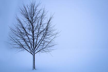 El pronóstico del tiempo para Ushuaia para el 26 de agosto.