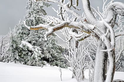 El pronóstico del tiempo para Ushuaia para el 3 de noviembre.