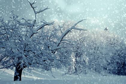 El pronóstico del tiempo para Ushuaia para el 8 de noviembre.