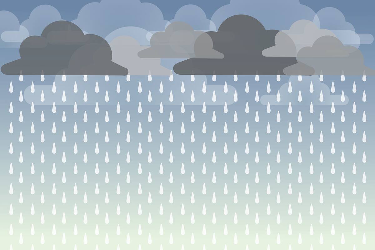 El pronóstico del tiempo para Viedma para el 3 de agosto
