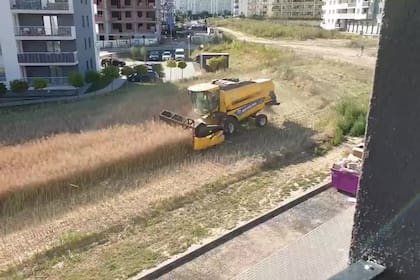 El propietario de un terreno en la ciudad polaca de Lublin se resistió a los avances inmobiliarios en la zona y continúa cosechando rodeado de pavimento