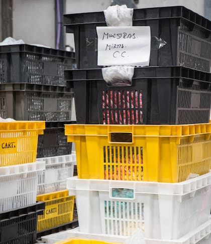El propileno o la materia prima para fabricar el marcador en sí.