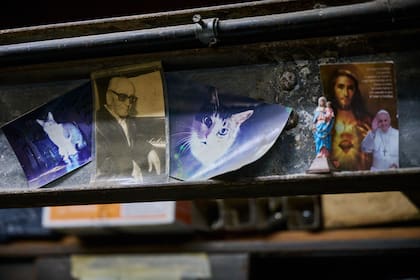 El propio altar de Omar Ciprés con su gato y la foto de Pugliese