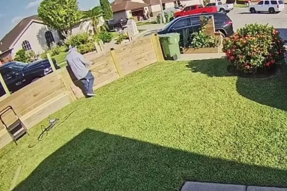 El protagonista se volvió viral al relatar las agresiones que sufre por parte de sus vecinos