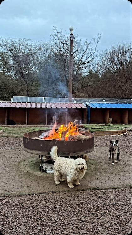 El proteccionista trabajó durante años junto a voluntarios para asistir a perros abandonados (Foto: Instagram @refugioelmontecito)