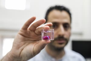 El prototipo de corazón humano, impreso con tecnología 3D y con tejidos humanos y vasos sanguíneos, tiene el tamaño de una cereza