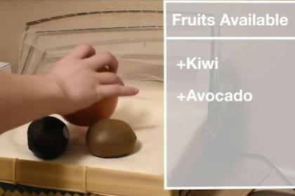 El prototipo de mantel desarrollado por Microsoft puede reconocer de forma automática los objetos que se apoyan sobre la tela, como frutas o comidas
