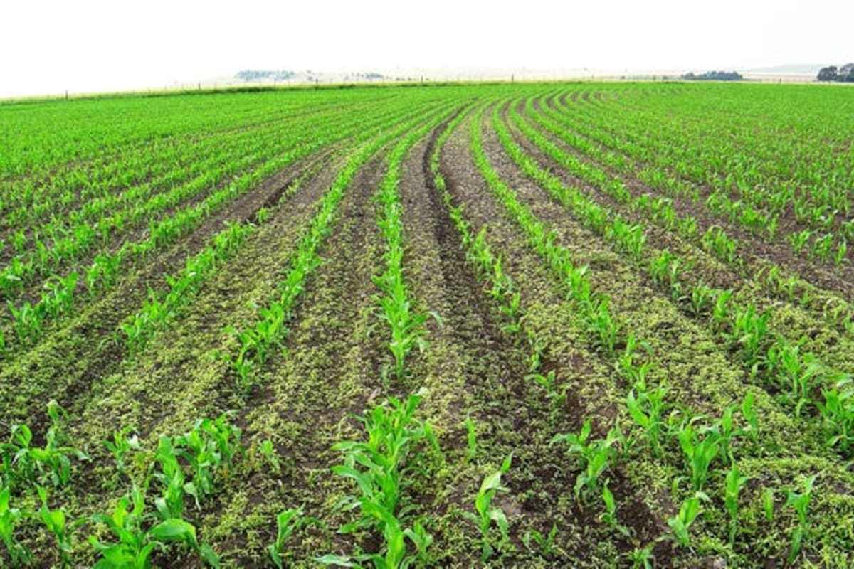 El próximo jueves 11 de julio a partir de las 9 los protagonistas del agro argentino, analistas económicos y emprendedores debatirán sobre las nuevas variables que definirán la agenda 2020 del sector.