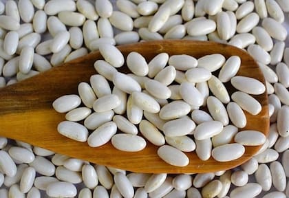 El próximo objetivo del proyecto es investigar las propiedades del aquafaba de porotos