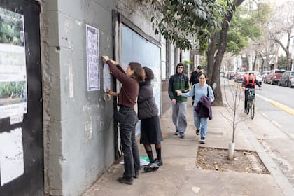 El proyecto arquitectónico prevé una intervención mínima, con una pasarela que recorra el lote y sectores de permanencia entre la vegetación existente