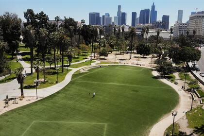 El proyecto busca generar un cinturón verde que se extienda más allá del sector actualmente intervenido en el boulevard Wilshire