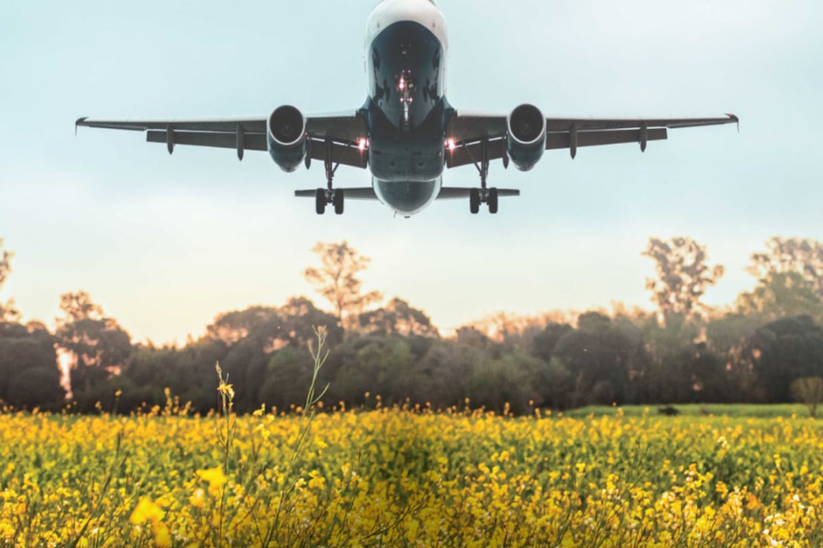 El proyecto contempla combustibles sostenibles de aviación (SAF)