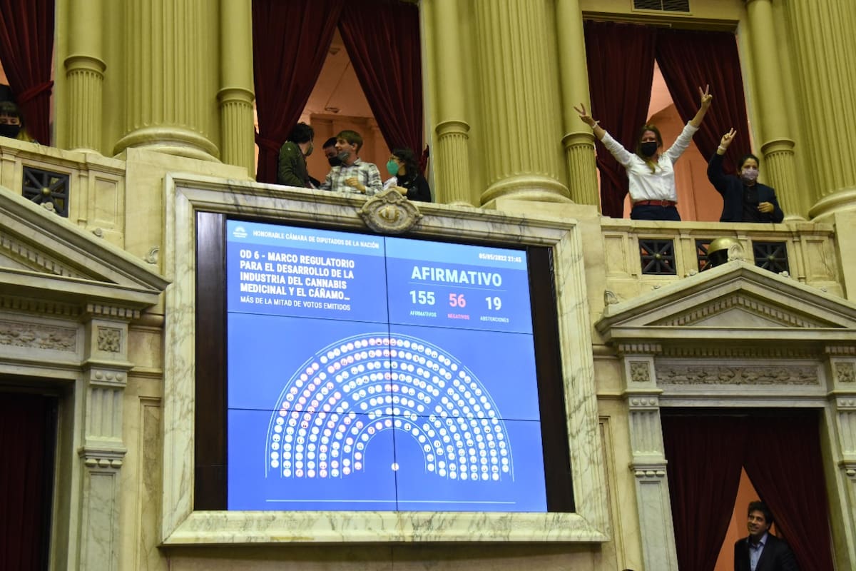 El proyecto de cannabis medicinal fue sancionado con 155 votos en general