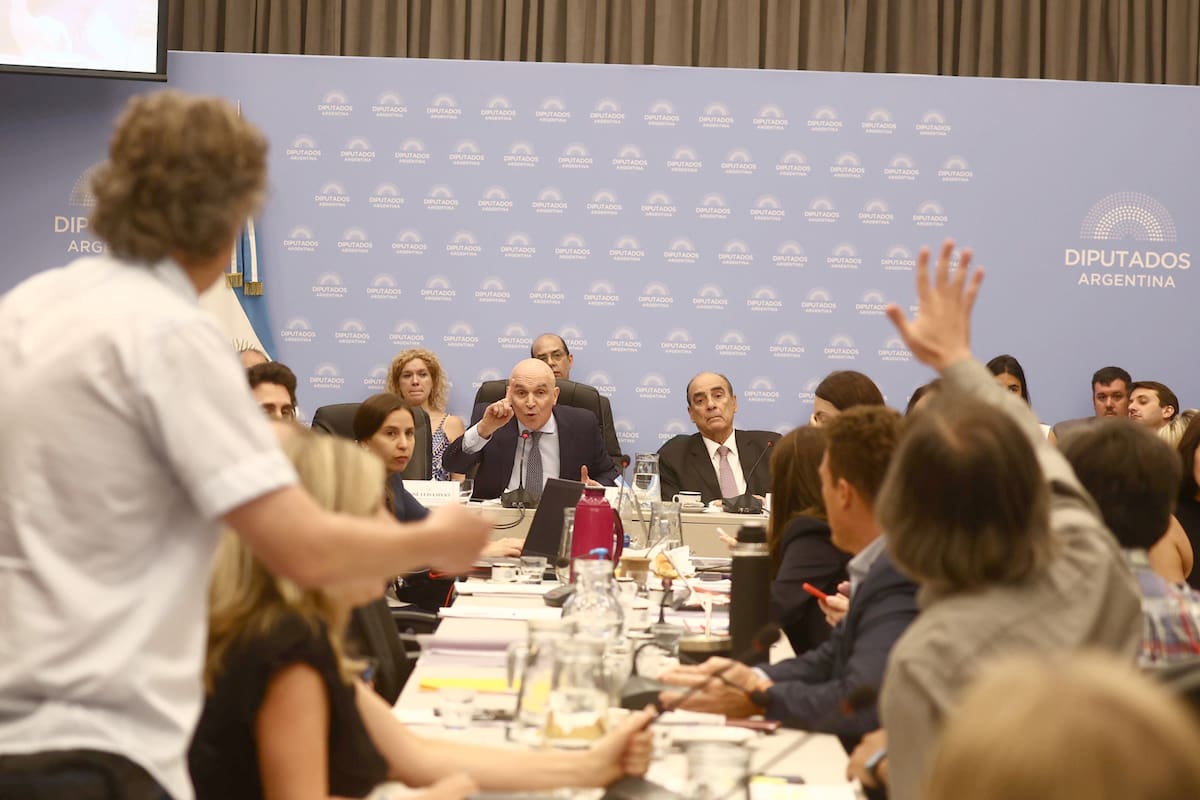 El proyecto de ley ómnibus se debate en estos días en el Congreso de la Nación