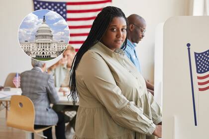 El proyecto de ley SAVE fue reintroducido en enero de 2025 y cuenta con el respaldo de varios congresistas republicanos