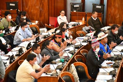 El proyecto del MAS del impuesto a las grandes fortunas fue aprobado ayer en la Cámara de Diputados de Bolivia y pasará al Senado