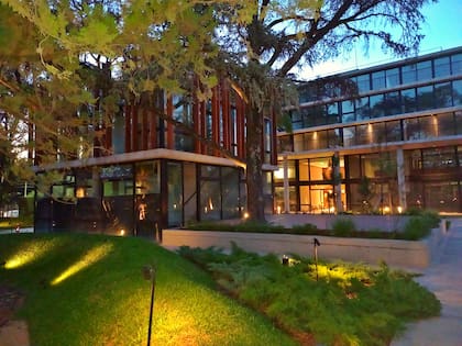 El proyecto está en un bosque centenario con más de 200 árboles