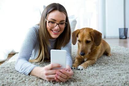 El proyecto está enfocado en la vida animal