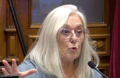 El proyecto fue impulsado por la senadora por Chubut Edith Terenzi, que recibió respaldo de legisladores de fuerzas provinciales y de algunos sectores vinculados al peronismo