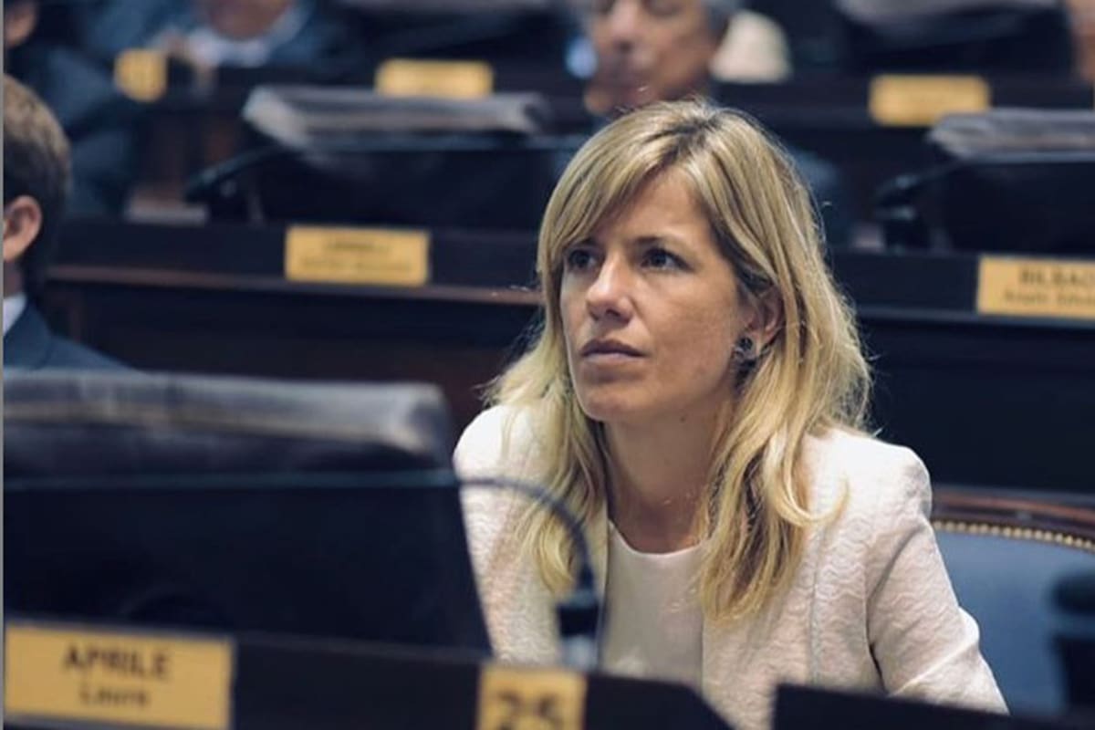 El proyecto fue presentado por la diputada provincial Laura Aprile y busca propiciar que los ciudadanos comprendan cuáles son sus derechos y obligaciones