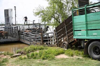 El proyecto había sido impulsado por estas dos últimas entidades, con el objetivo de desconcentrar la operatoria del único puerto ganadero actualmente disponible en la zona