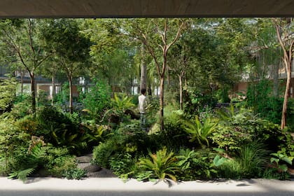 El proyecto inmobiliario en San Isidro tendrá un bosque interno con árboles de hasta ocho metros de altura