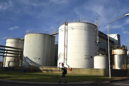 El proyecto lo impulsa la diputada Alejandra Vigo, junto con los integrantes de la Liga Bioenergética